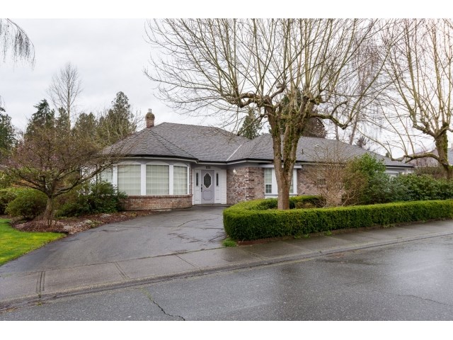 South Surrey Fantastic House, located on a quite and private street