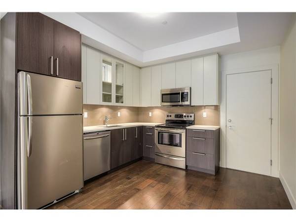 New One Bedroom Basement for Rent (Vancouver West)