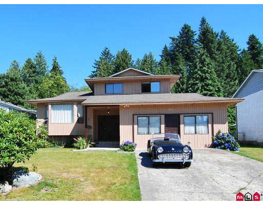 Great 3-level split with private yard home in Langley (Walnut Grove)