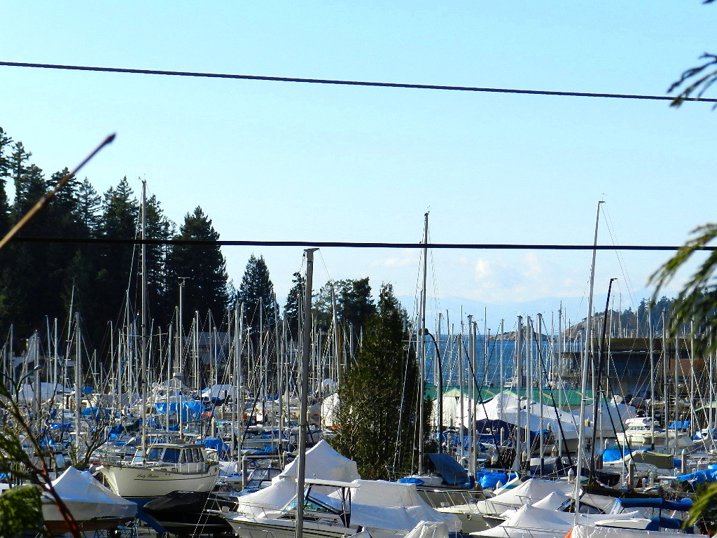 Great View Office/Retail Space on Marine Dr West Vancouver Near Thunderbird Marina