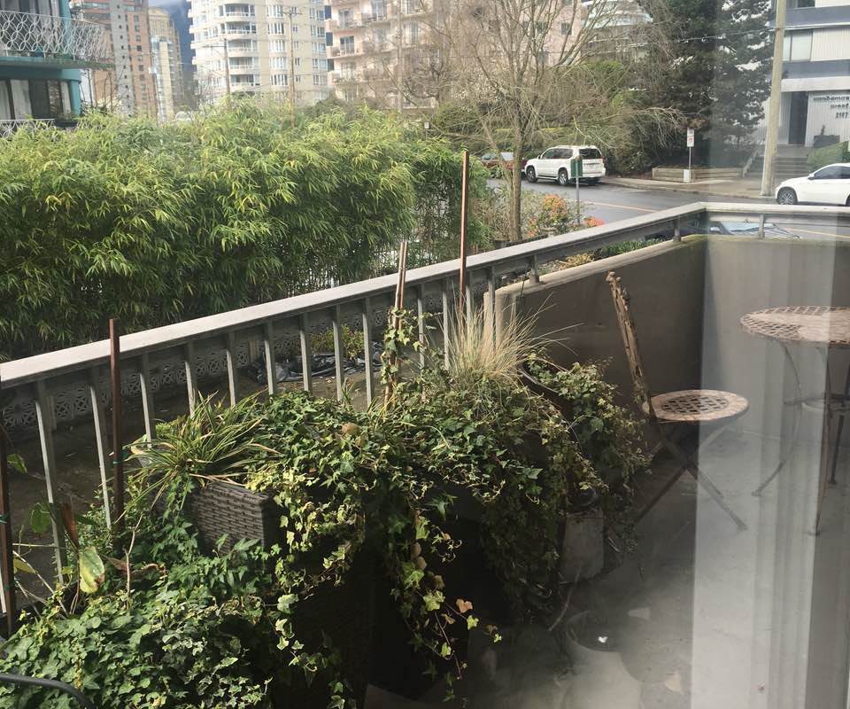 Bright and Spacious 2 bdrm Suite in Amazing Location (West Vancouver)