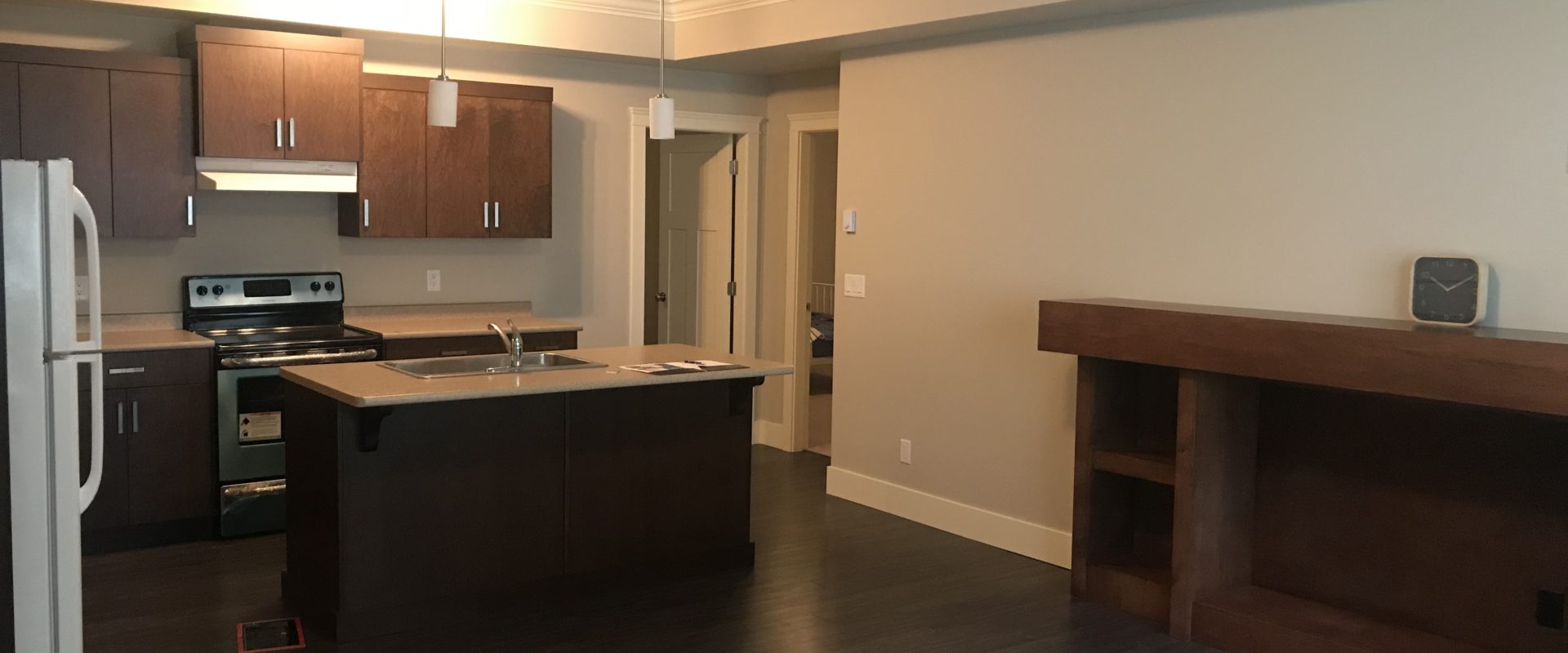 Anmore 2br 1ba basement suite for rent(everything included!)