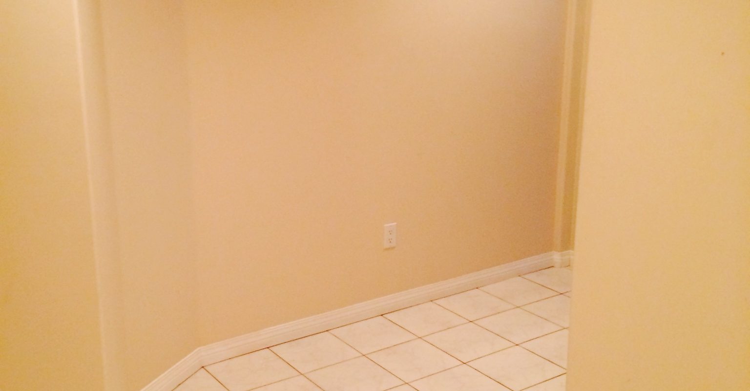 Great Basement for rent in Forest Hills