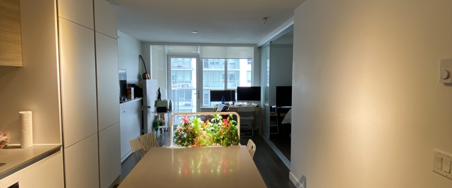 East Facing Well Maintained Condo Studio in New Westminster For Rent
